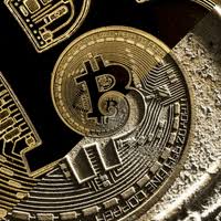 Pamp is pamping the standards for meme coins by incorporating perks, real case use, and deflationary properties to the token. Cryptocurrency Gifs Get The Best Gif On Gifer