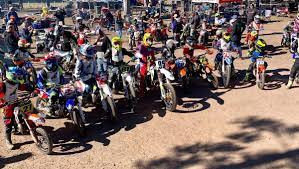 Local Juniors Impress At Nsw Dirt Track Titles The Macleay Argus Kempsey Nsw