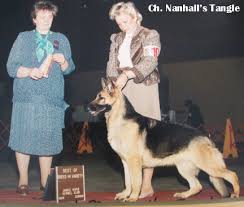 NANHALL GERMAN SHEPHERD BREEDING PROGRAM, by Frances Keyes