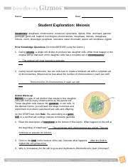 5 star rated · money back guarantee · 30 day free trial Meiosisse 1 Name Date Student Exploration Meiosis Vocabulary Anaphase Chromosome Crossover Cytokinesis Diploid Dna Dominant Gamete Genotype Course Hero