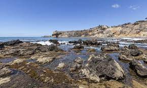 All day $6, after 4:00 pm $3. more. Best Tide Pools In Los Angeles California Beaches