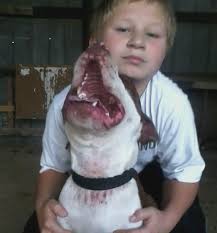 Ralph Tanner Obituary (1938