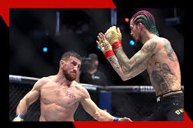 How much are UFC 316 tickets to see O'Malley vs. Dvalishvili?