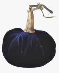 If you want really a rare pumpkin, try growing a blue pumpkin. Midnight Blue Velvet Pumpkin With Real Stem Pumpkin Png Image Transparent Png Free Download On Seekpng