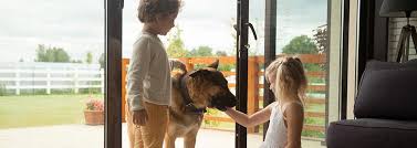 Breathe in air that's free of 99. Best Air Purifiers For Pet Odors And Dander Air Purifiers America Allerair