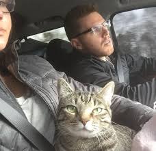 And he just keeps chelsea freeman. Freddie Freeman And His Wife Chelsea Brought Their Cat On The Way To Spring Training Why Do Cats Purr Cats Atlanta Braves
