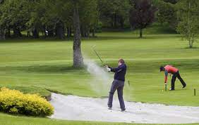 Browse a gerat selection of 252 or 500 piece jigsaw puzzles. Golfing Jigsaw Puzzle Online Jigsaw Puzzles