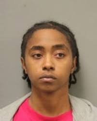 Woman charged with 9 felonies including ethnic intimidation in Ann  Arbor-area break-in spree