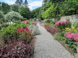 We did not find results for: Hd Wallpaper Ireland Cong Floral Pink Garden Flowers Ashford Plant Wallpaper Flare