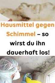 Hausmittel Gegen Schimmel So Wirst Du Ihn Dauerhaft Los Tough Stain Vinyl Siding Cleaning Hacks