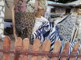 Entrépriset var 25 öre, en familjebiljett kostade 40 öre. Egyptian Zoo Accused Of Bad Paint Job By Coloring Donkeys To Look Like Zebras Abc News