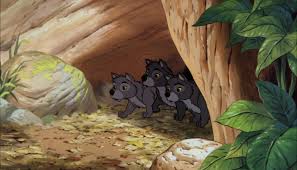 The question and answer section for the jungle book is a great resource to ask questions, find answers, and discuss the novel. Wolf Pups Disney Wiki Fandom