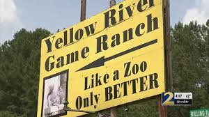 Check spelling or type a new query. Yellow River Game Ranch Closes In Gwinnett County Wsb Tv Channel 2 Atlanta
