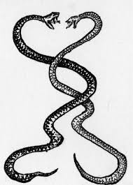 Black And White Snake Tattoo Drawing 9 Simple And Traditional Snake Tattoo Designs With Meanings Traditional Snake Tattoo Snake Tattoo Design Tattoo Designs And Meanings