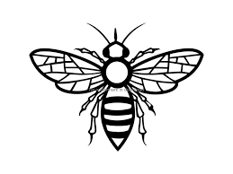 Pin On Oe Bee