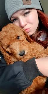 What jobs do your poodles do?