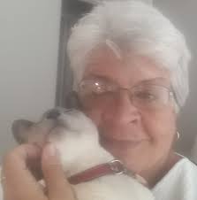 Does this kitten belong to anyone in Nelspruit?