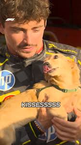 The weekend at Monza with VIP Leo Leclerc Saint Mleux 🐾, #F1 #Formula1  #ItalianGP