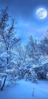 We have an extensive collection of amazing background images carefully chosen by our community. Snow Phone Wallpapers 4k Hd Snow Phone Backgrounds On Wallpaperbat