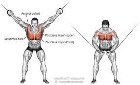 High Cable Cross Over Exercise Guide And Video Weight