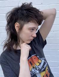 Free alternative haircuts in Murfreesboro, TN for portfolio building