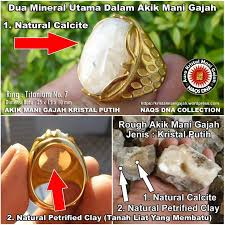 Tanahnya mengandung mineral sulfida yang tinggi. Facebook