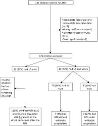 Distribution Of The Newborns With Antenatal Hydronephrosis Anh Vcug Download Scientific Diagram