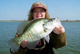 Enormous catfish, championship bass fishing and more crappie than you could ever eat are just part of the grand lake fishing legend. Where To Find Crappie Top 10 States For Giants