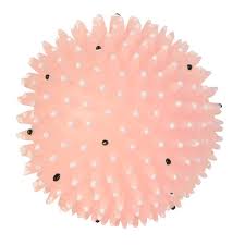 Trixie Moonlight Igelball Fressnapf Fressnapf Igel Wolle Kaufen