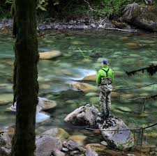 Cascade Mountain Creeks Washington Emerald Water Anglers Fly Fishing Fly Fishing Lures Fishing Adventure