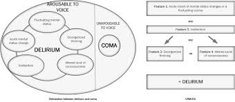 Image result for CAM-ICU