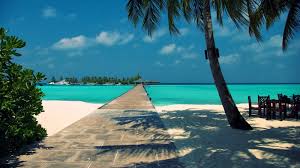 Summer wallpapers, backgrounds, images 1920x1080— best summer desktop wallpaper sort wallpapers by: 44 Summer Wallpaper 1080p On Wallpapersafari
