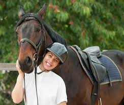 Top Tips For Buying a Horse
