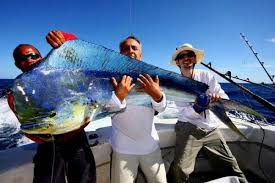 F73b6bc5f304d63cd1bfc42bc5a78594 Jpg 600 400 Pixels Fish Sea Fishing Saltwater Fishing