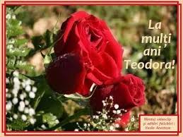 Jucatorul echipei nationale si al formatiei gaz metan medias, teodor jucan, implineste astazi frumoasa varsta de 29 de ani! Teodora La Multi Ani 1 Youtube