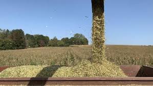 Frais de notaire et droits de mutation. Frais De Sechage Pour Le Mais Grain Sillonbelge Be
