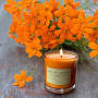 Profile Picture of CoCo Benjamin Candle Studioon Google