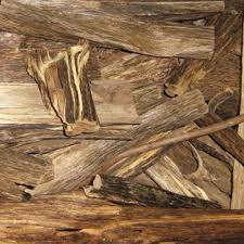 Aquilaria malaccensis is a tree native to narrator: Agarwood 5