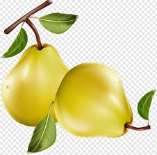 The fruit salad tree grows red plums, nectarines, peaches, apricots, and purple plums, all on a singular tree. Fruit Tree Orange Fruit Apple Fruit Fruit Salad Fruit Fruit Basket 810010 Free Icon Library
