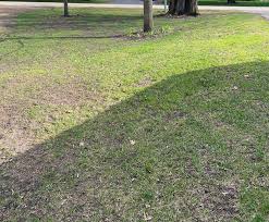 Apply up to 1/2 inch of leveling mix on top of the low areas. Lawn Leveling Help The Lawn Forum