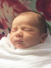 Forte Family History Posts