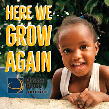 Lisa Westenberger (@ljowesten)