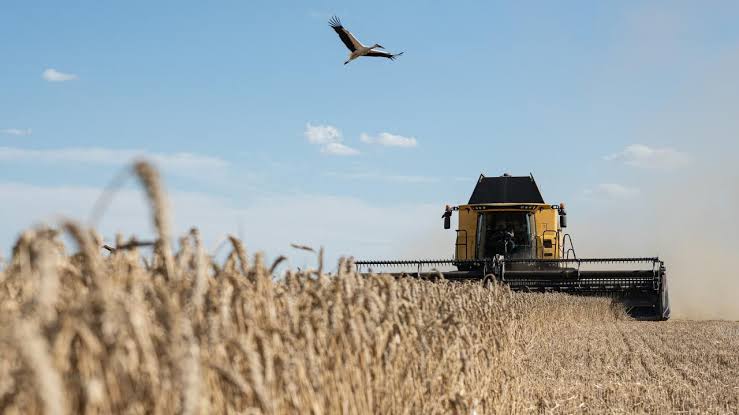 Ukraine farmers begin a harvest like no other | The Australian