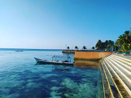 Sudah pernahkah kalian ke pulau lombok, berwisata misalnya. Pulau Tomia Wakatobi Surganya Pecinta Diving Di Indonesia