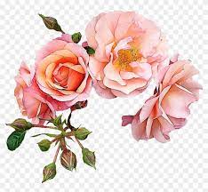 Art nouveau flower clipart in rose gold. Garden Roses Flower Pink Clip Art Wedding Day Gold Love Free Transparent Png Clipart Images Download