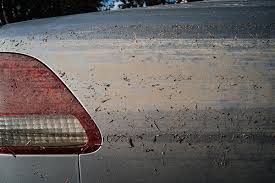 How to get a car out of mud. Brutal Choice In Houston Sell Home At A Loss Or Face New Floods The New York Times