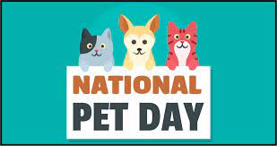 Happy national pet day to your cuddly, furry family members and you! National Pet Day 2021 April 11 Quotes Images Wishes Sms