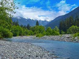 Protrails Hoh River Trail To Elk Lake Olympic National Park Washington Olympic National Park River Trail National Parks