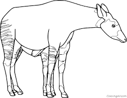 Debbie the okapi is a tale based on facts about an individual okapi. Realistic Okapi Coloring Page Coloringall