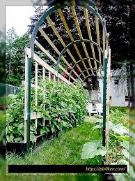 32 Kostenlose Diy Tomatenspaliere Und Kafig Ideen Fur Den Anbau Ihrer Grossen Und Gesunden Tomate Garten Landschaftsbau Diy Garten Garten